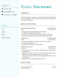 Data Analyst Resume 4